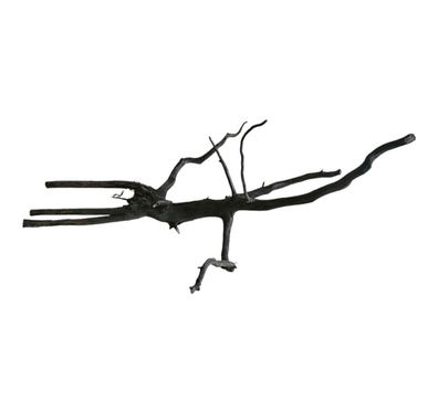Rasamala Black Scaper Root Nr. 276