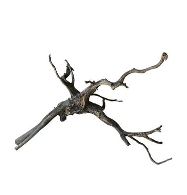 Rasamala Black Scaper Root Nr.746