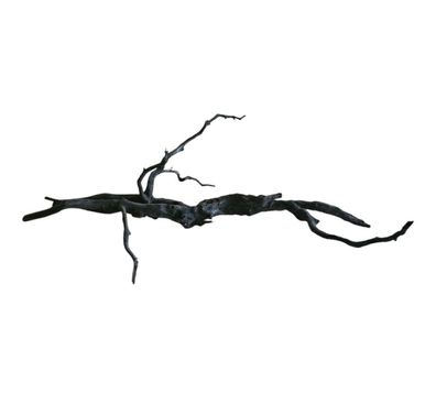 Rasamala Black Scaper Root Nr.747
