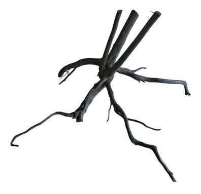 Rasamala Black Scaper Root Nr.749