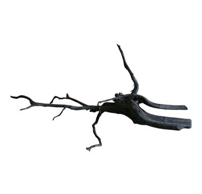 Rasamala Black Scaper Root Nr.750