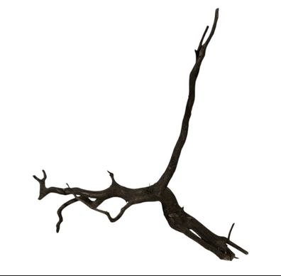 Rasamala Black Scaper Root Nr.758