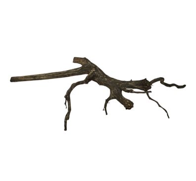 Rasamala Black Scaper Root Nr.763