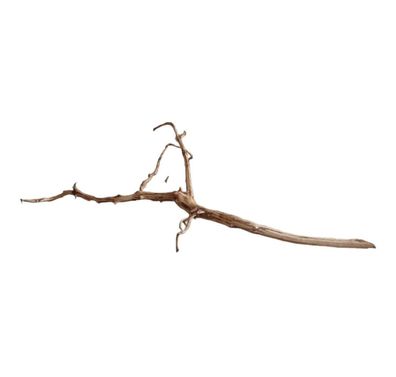 Dark Snake Wood Nr.444