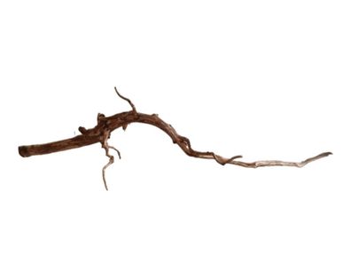 Dark Snake Wood Nr.446