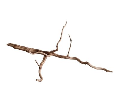 Dark Snake Wood Nr.448