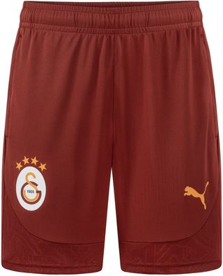 Puma Sport Shorts GSK Training Shorts 779689