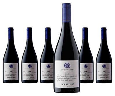 6 x Vina Errazuriz Aconcagua Costa Syrah – 2021