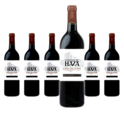 6 x Familia Fernandez Rivera-Condado De Haza Condado de Haza 20 Aldeas – 2021