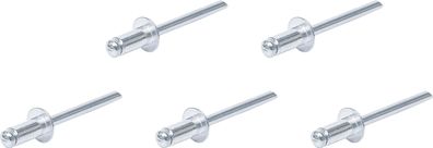 BGS Do It Yourself Blindnieten-Sortiment | Ø 4,8 mm | 50-tlg
