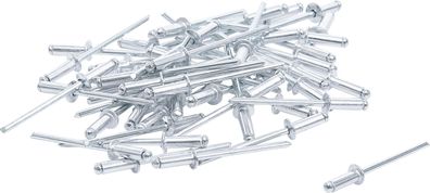 BGS Do It Yourself Blindnieten-Sortiment | Ø 3,2 mm | 50-tlg