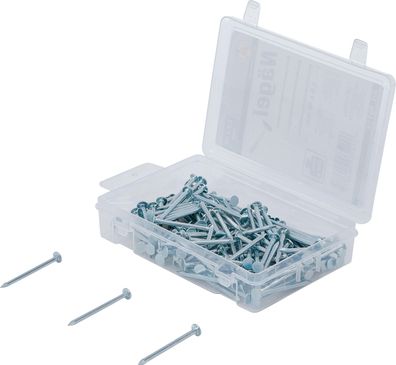 BGS Do It Yourself Nägel-Sortiment | 200 g | 2,5 x 40 mm