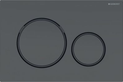 Geberit GE BetPl. Sigma20, für 2-Mengen-Sp. schwarz matt lackiert, beschichtet