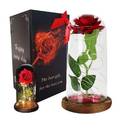 Ewige Rose im Glas mit Licht Rose Geschenke für Frauen Auswahl per Zufall