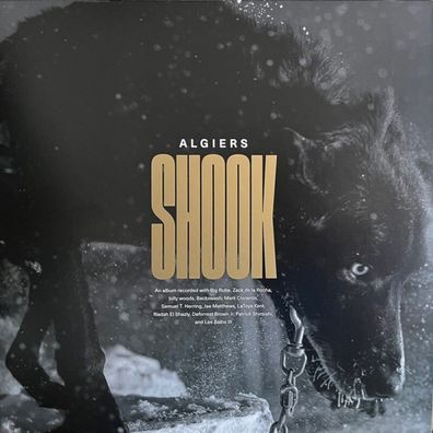 Algiers = Shook = 2 VINYL LP ALBUM BLack = POST ROCK PUNK INDIE NEO SOUL GOSPEL FUNK