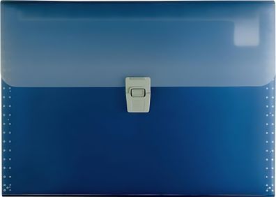 Brunnen Fächermappe FACT! 10-teilig blau 102024030