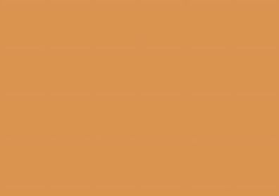 Brunnen Karteikarte A5 unliniert/blanko orange 100 Stück 102250040