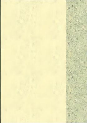 Brunnen Hefthülle A5 transparent gelb Folie 104050510