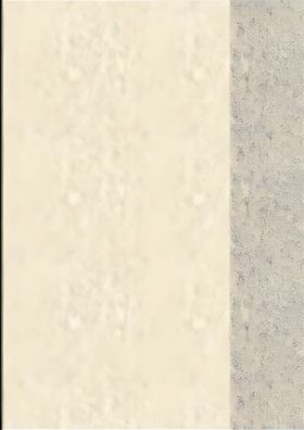 Brunnen Hefthülle A5 transparent orange Folie 104050540