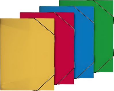 Brunnen Heftsammler A4 FACT! sortiert 104163928