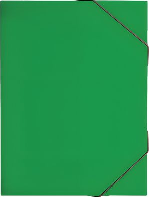 Brunnen Heftsammler A4 FACT! grün 104163950