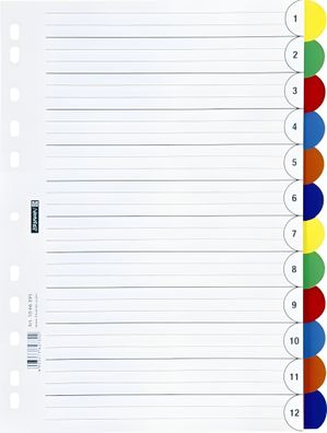 Brunnen Ringbuchregister A4 12-teilig Kunststoff 1066595