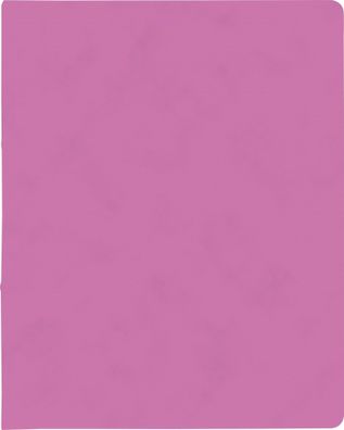 Brunnen Ringbuch A4 FACT!plus 2-Ringe 15mm pink 106550922