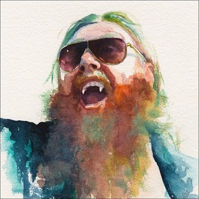 BENJI HUGHES = Songs in The Key of Animals = VINYL LP ALBUM = INDIE POP ROCK