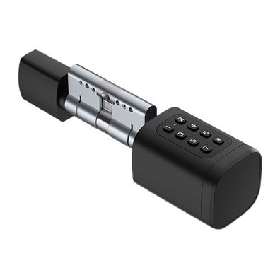 Avatto 100mm digitaler Schließzylinder schwarz