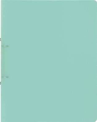 RingbA4 25mm 2R mint FACT! 4061947098426