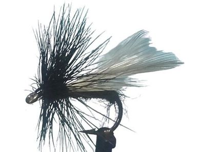 Trockenfliege BLACK MIDGE