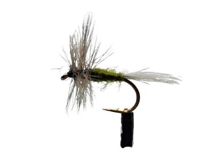 Trockenfliege Blue Winged Olive