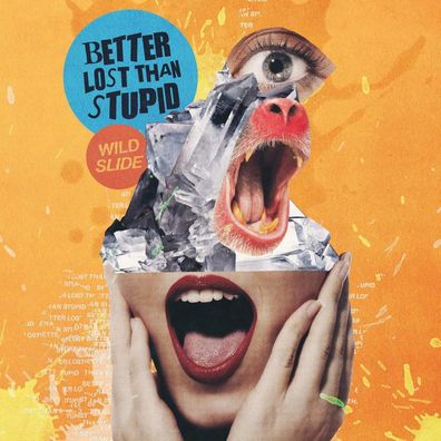 Better Lost Than Stupid = Wild Slide = 2 VINYL LP ALBUM = TECH HOUSE TECHNO