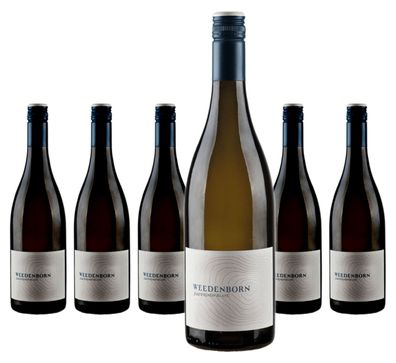 6 x Weedenborn Sauvignon Blanc Qualitätswein trocken – 2025