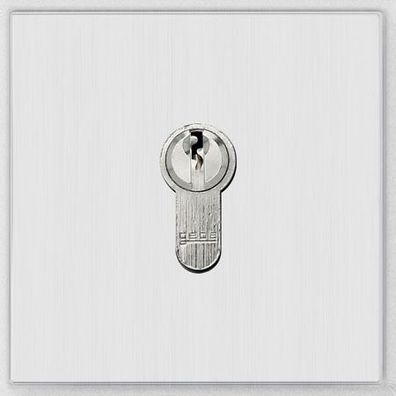 Behnke 21-2401 Modul Schlüsselschalter V2A-Design