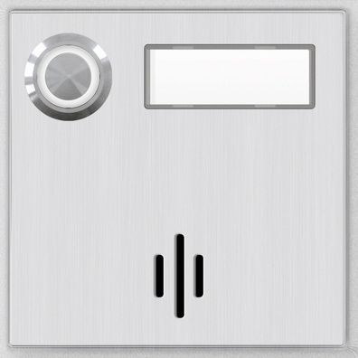 Behnke 21-3113-BS Modul Mikrofon, 1 Taste + BF bel. V2A-Design