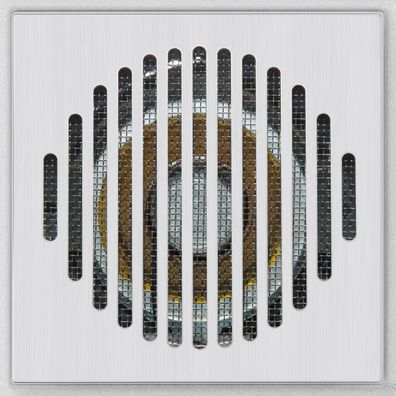 Behnke 21-1107-BS Modul Lautsprecher, Größe 4 , 2A-Design