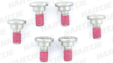 TRW Schraube Zylinderkopf, Schraubensatz für eine 6 Stück, M6x1,