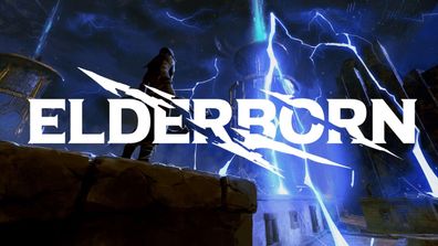 Elderborn (PC, 2020, Nur der Steam Key Download Code) Keine DVD, Keine CD