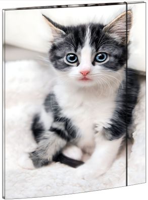 RNK Zeichenmappe Katze A3 Gummizug 310x440mm