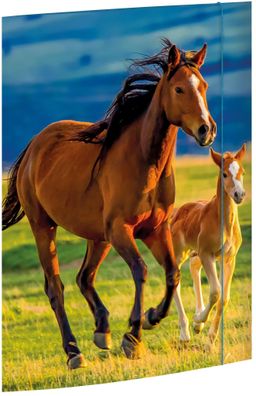 RNK Zeichenmappe Free Horses A3 Gummizug 310x440mm