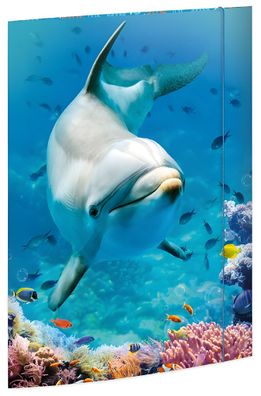 Roth Tierische Zeichenmappen A3 Dolphin