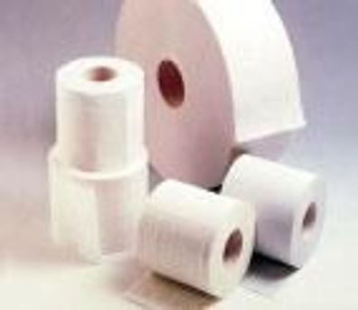 Toilettenpapier 2-lagig, weiß, 8 Rollen á 350 Blatt Scott