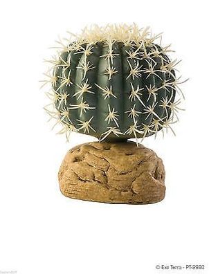 Exo Terra PT2980 Bodenpflanzen Zylinder Kaktus (s)