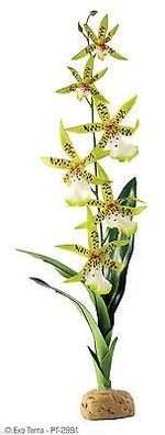 Exo Terra PT2991 Bodenpflanzen Spinnen Orchidee, 7,6 x 12,7 x 43,2 cm