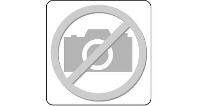 GEDORE EI-1500 CT1-19IS L Check-Tool-Modul leer