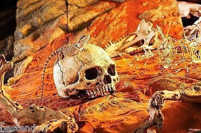 Exo Terra PT2855 Primate Skull Totenkopf 17 x 13,5 x 11,5 cm