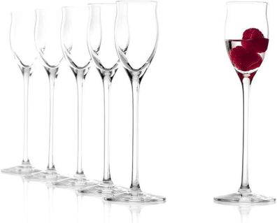 Stölzle Lausitz Set 6 Stück Quatrophil Edelbrand klar 231 00 30 | EAN 4012632156891