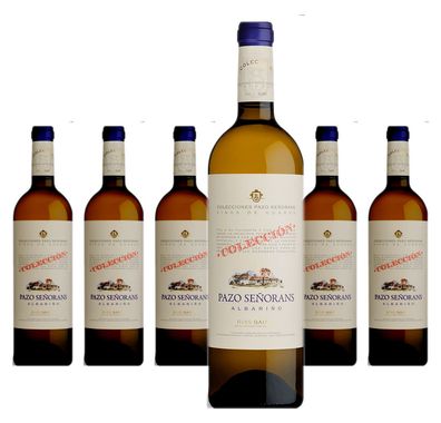 6 x Pazo Señorans Colección Albariño Rías Baixas – 2021