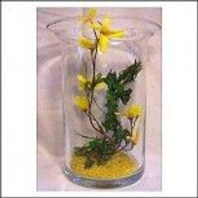 Glas vase Leonardo 22cm